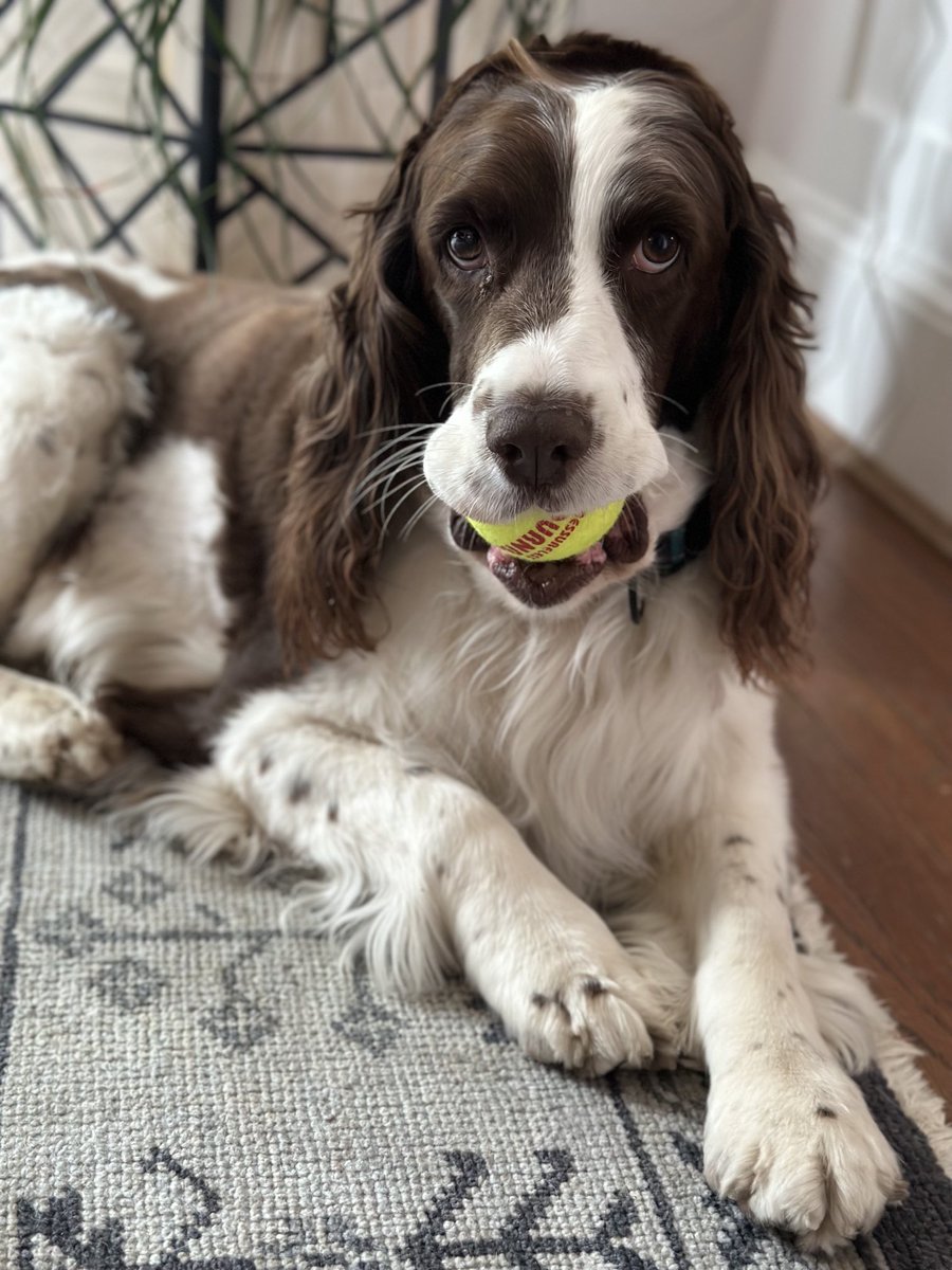 Jonah Goldberg tweet media