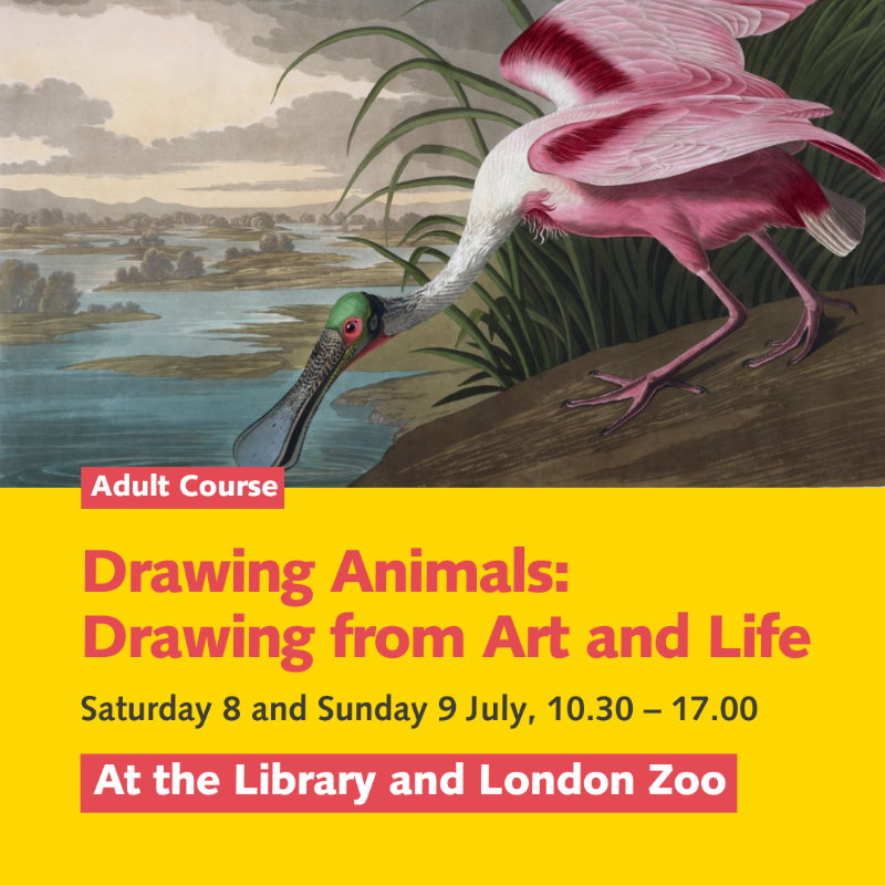 britishlibrary's tweet photo. Explore @eventsBL:

🎶 Immerse yourself in nature through story and sound with @jr_carpenter, @jules_rawlinson &amp; @ellenwiles

🎨 Develop drawing skills at @zsllondonzoo

🎉 Celebrate our 50th anniversary with @nikkibedi, @LKN_Libraries, @DavidNWriter, @garyyounge &amp; @GrantaBooks
