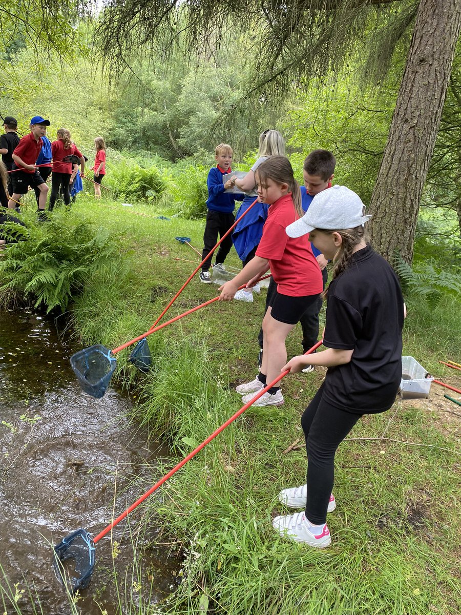 Having the most amazing day! 🦌🌳