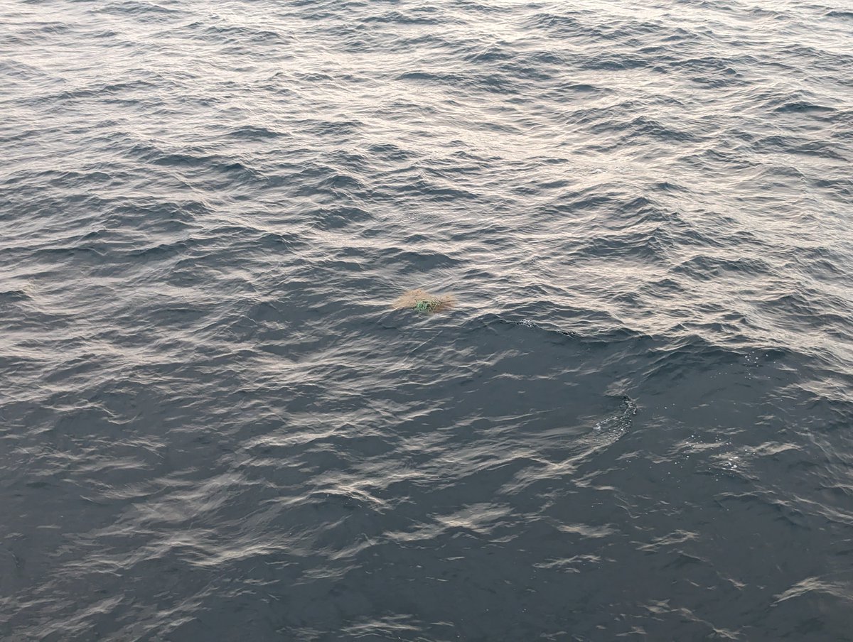 AIRCentre_org's tweet photo. 🛥️ 🔎#LabPlas Project Campaign  Working on #litterspotting! Collected samples for micro and nano #plastics analysis &amp; soon to head to station 1! Great improvement in sea conditions, meaning better visual #litter spotting, hoping for clear skies to enhance #satellite acquisitions! https://t.co/ikrFXZo01P