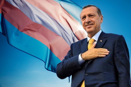 3120- trans tayyibizm