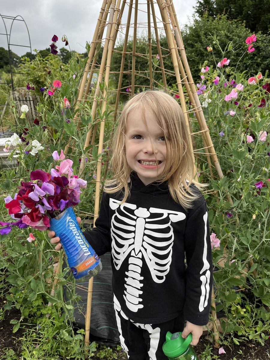 allibinky's tweet photo. Young Sir has just misnamed “Johnny Jump Ups” as “Bouncing Peters”. He really is my favo(u)rite little guy ever.  🌱 #allotment #GardeningTwitter https://t.co/KTgIMu4JSa