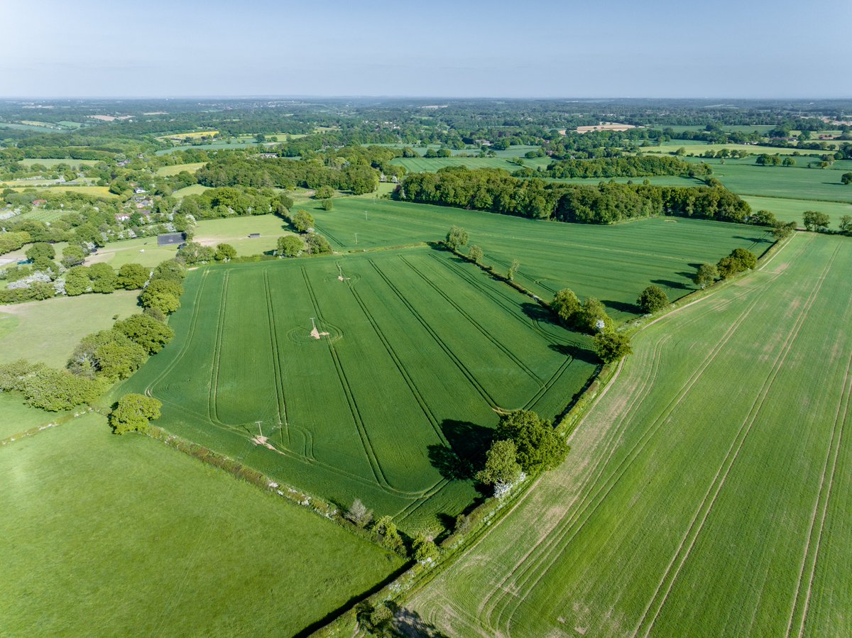 *EXCITING NEW INSTRUCTION*
A significant #Buckinghamshire arable farming #estate  with managed woodlands available in 14 lots - 1,118.05 acres (452.45 hectares). Freehold for #sale by private treaty as a whole or in 14 lots. Guide Price-£11,000,000
briggsandstone.co.uk/property-sales/