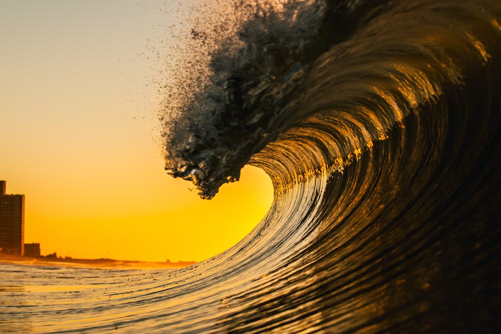 Ⓜ️ICHÆL🥤🌐 • 📷’er📍42°N | Emergence Edition x 20 tweet media