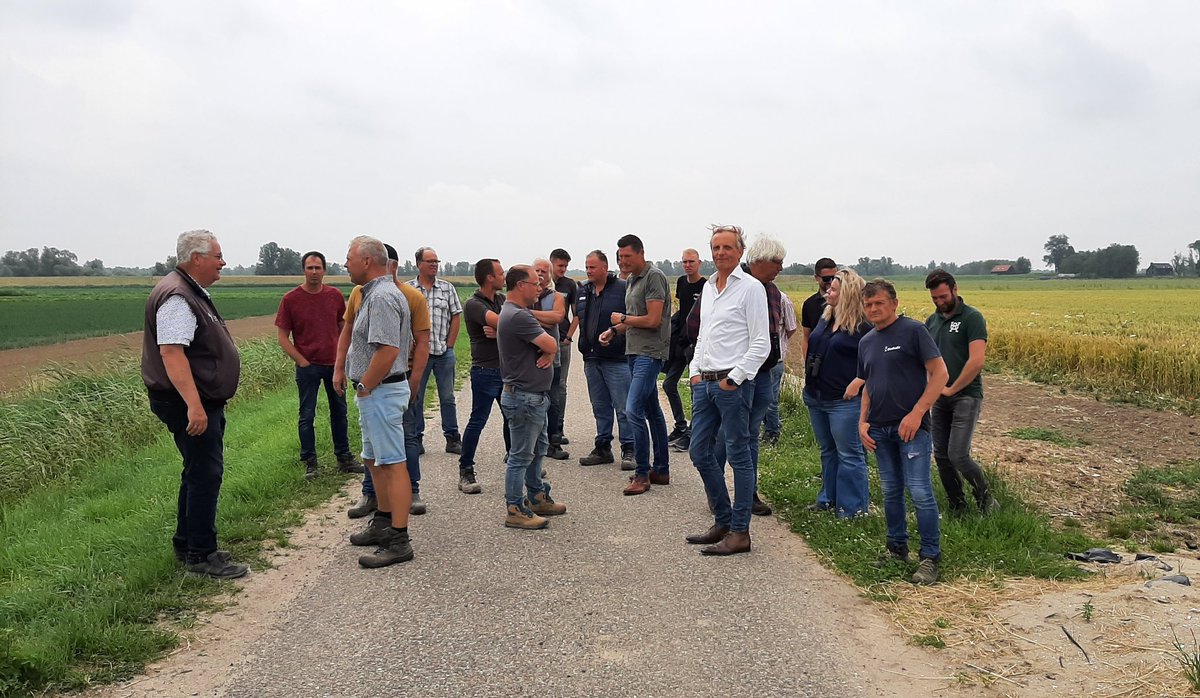 Anthonie Stip tweet media