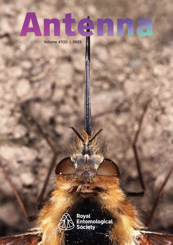 Antenna Volume 47 (2) online now 🪰

Read online: royensoc.co.uk/publications/a…

Available to members - opt in through your account for physical copies delivered to your door 🦋

📸 Bee-fly (#Bombylius major) #InsectWeek Commended 2008 © Peter White

#Publication #Science #Entomology