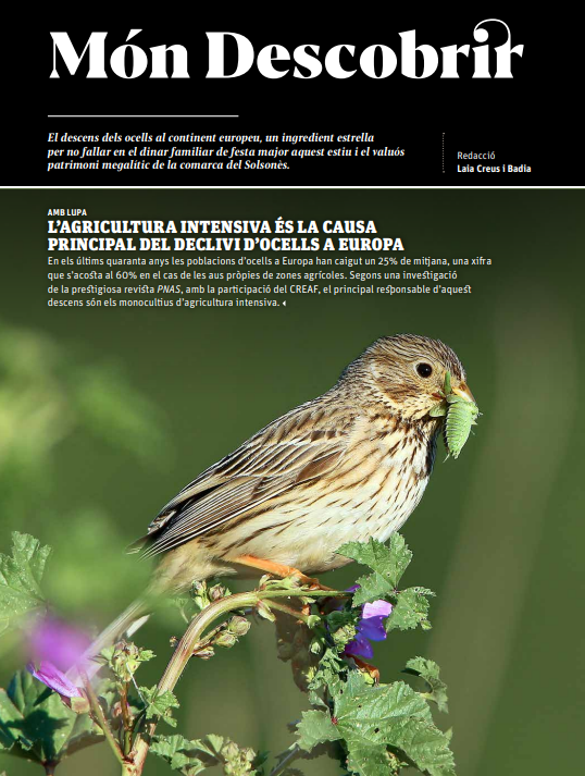 Aquesta és la portada preciosa del Món <a href="/descobrircat/">Descobrir.cat</a> 💖 Explica la recerca on ha participat el nostre investigador <a href="/SergiHerrando/">Sergi Herrando</a> i que vincula estretament la pèrdua d'ocells amb l'#agricultura intensiva 🐣🚜🌾 Gràcies <a href="/lalaiacreus/">Laia Creus</a> per comptar amb nosaltres pel reportatge!!!