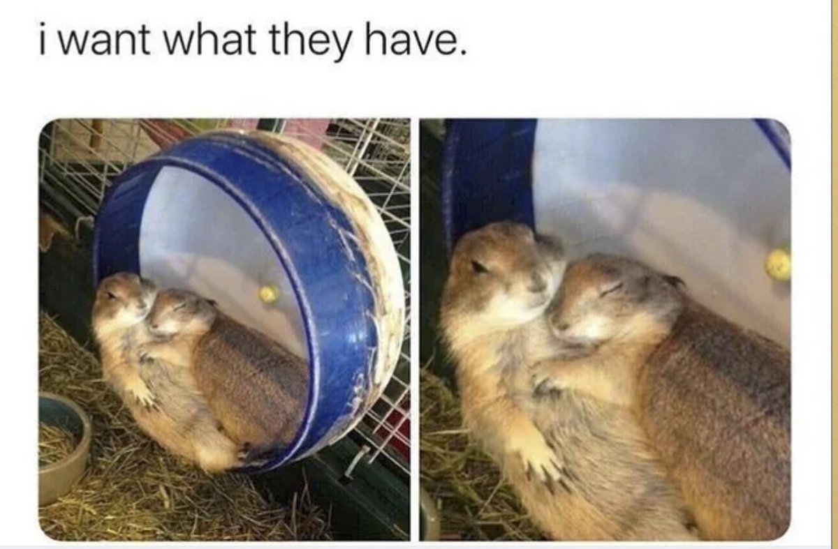RespectfulMemes's tweet photo. https://t.co/KwtkSvN3wL