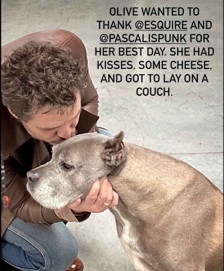 Mooseinflannel_'s tweet image. 30 Day Idol Challenge 
Day 29 
#PedroPascal
#pascalispunk