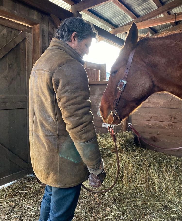 Mooseinflannel_'s tweet image. 30 Day Idol Challenge 
Day 29 
#PedroPascal
#pascalispunk