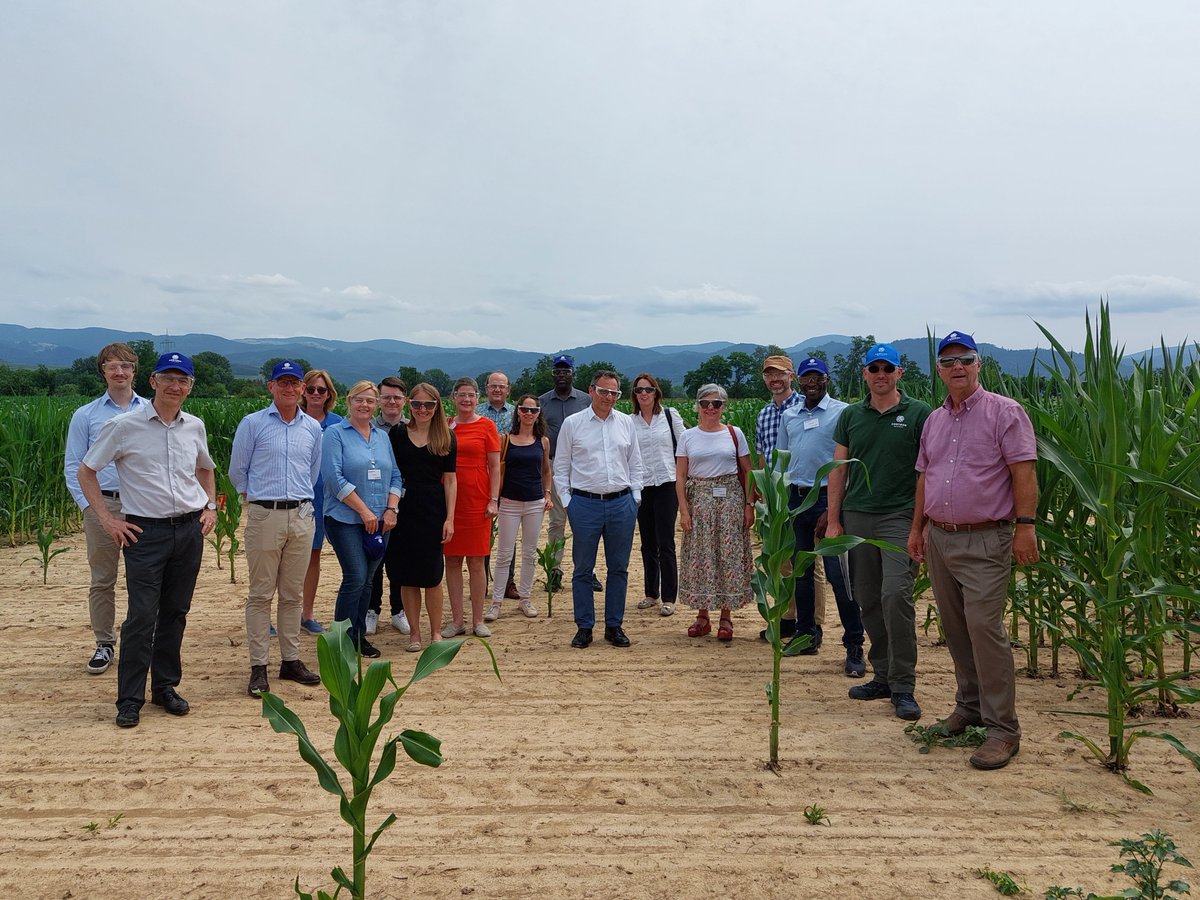 CPVOTweets's tweet photo. 🌾🌱 CPVO & @EuroseedsEU Technical Exchange at @Corteva's facilities in #Eschbach 🇩🇪brought together seed industry pioneers, transforming agriculture in the fields! 🌿 roundbreaking innovations and the future of farming #Eschbach2023 #SeedInnovation @mattinaFrancesc https://t.co/3q8EANxcoM