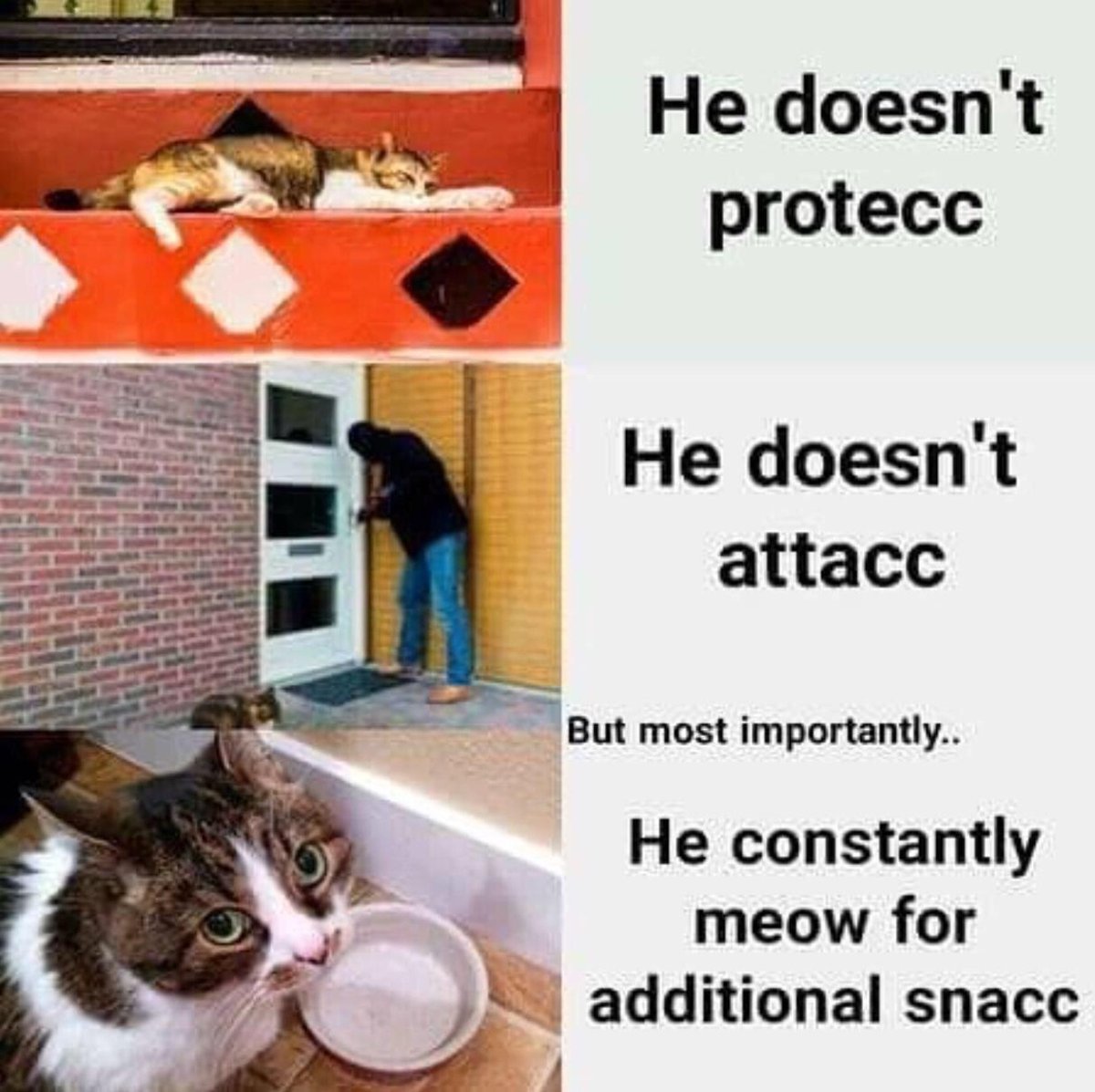 WholesomeMeme's tweet photo. https://t.co/kLpFweYTIk