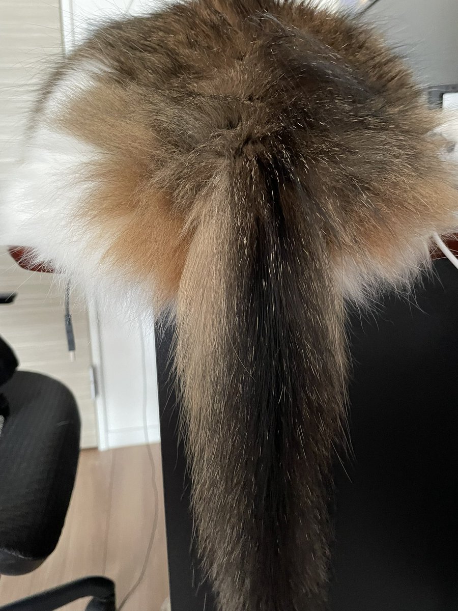 トトロやん https://t.co/Pn9nP1an6M