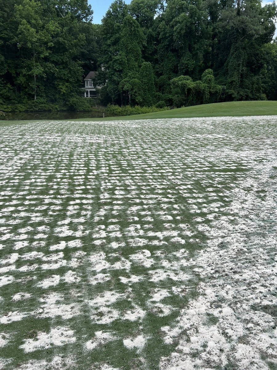 Andy Scott tweet media