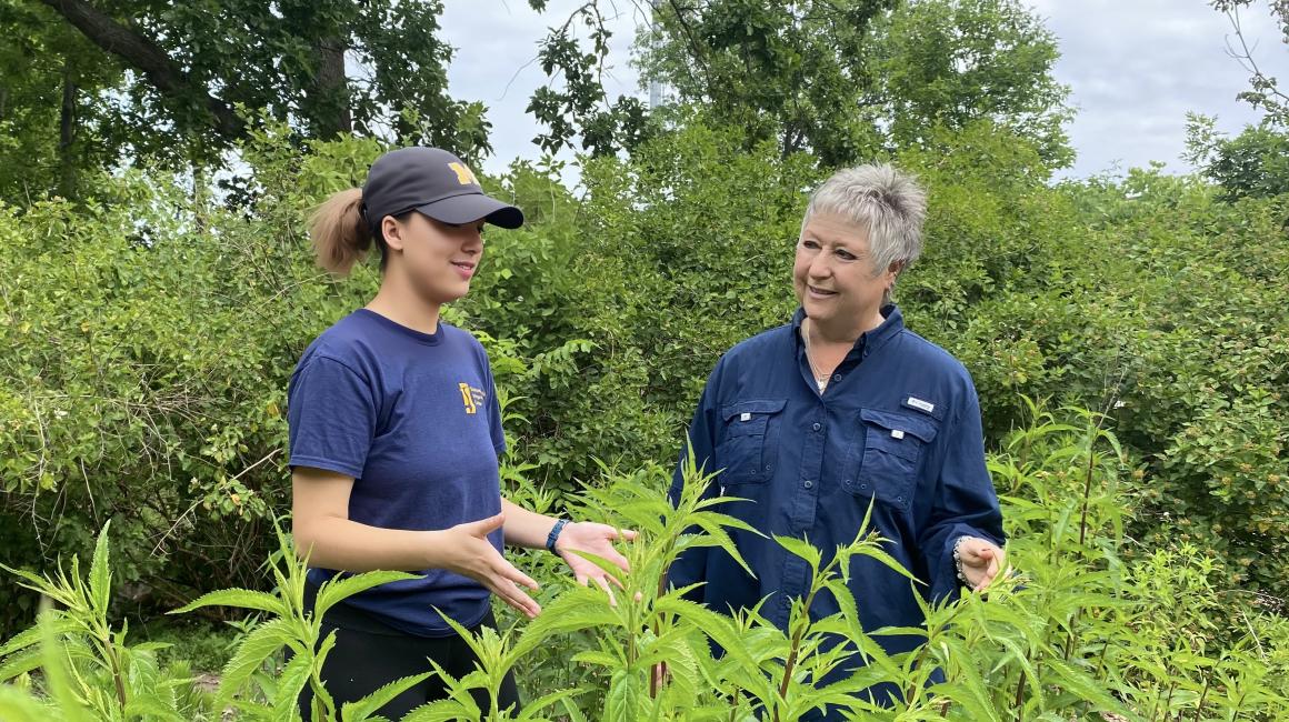 Environmental Interpretive Naturalist Dorothy McLeer, who’s taught on campus for 30 years, is honored by the National Association for Interpretation for her environmental education efforts.
umdearborn.edu/news/how-campu…