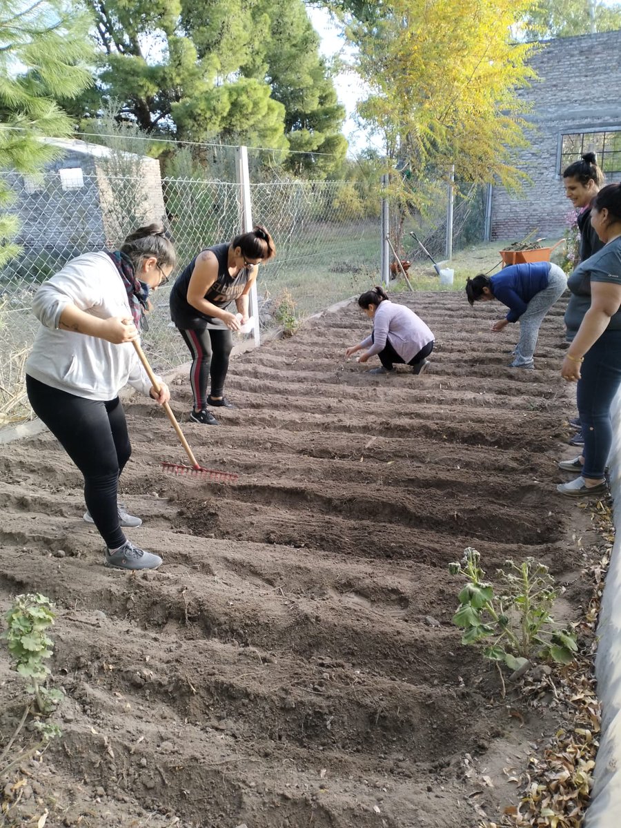 👉Junto a Juana Almazán, la coordinadora del macrotunes de Río Colorado, las familias aprenden de manera agroecológica y natural a cosechar alimentos frescos y saludables, para poder reproducir estos hábitos en los invernaderos familiares🌱

¡Gracias por tu compromiso, Juana!👏