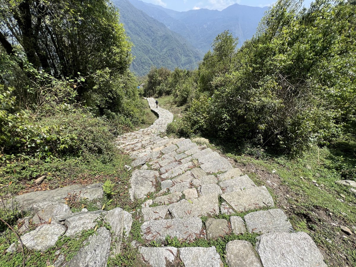 Pero ¿Qué importa la meta cundo el camino es tan gratificante?
#FelizVida