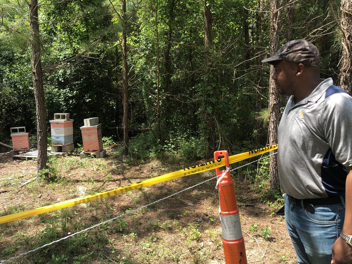 N.C. A&T CAES (@ncatcaes) on Twitter photo Now #NCATExtension is with Halifax County NC Cooperative Extension, learning about beekeeping and high tunnel crop production from Richard and Linette Hewlin, <a href="/NCATExtension/">N.C. A&T Extension</a> Small Farmer of the Year finalists, at 4-Ever Vista Farms! Now #NCATExtension is with Halifax County NC Cooperative Extension, learning about beekeeping and high tunnel crop production from Richard and Linette Hewlin, <a href="/NCATExtension/">N.C. A&T Extension</a> Small Farmer of the Year finalists, at 4-Ever Vista Farms!