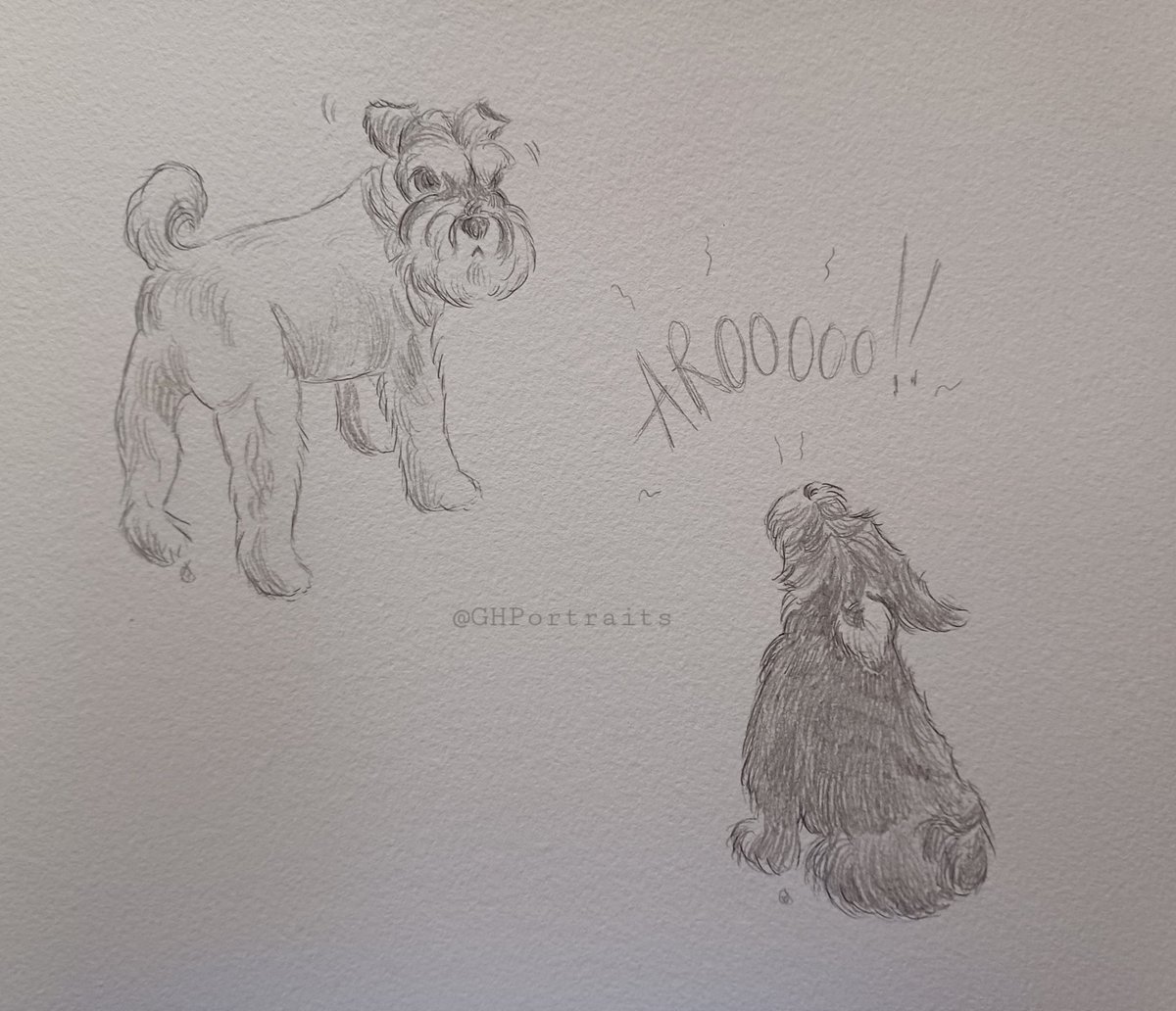 A little cartoon of my Lads🐶💕🐶 That time Brodie howled out of nowhere & Murray was shook!😆🐾 #ilovemydogs #dogsoftwitter #schnauzergang #dogsarelove #dogsarefamily #mydogsarecartoons 💕