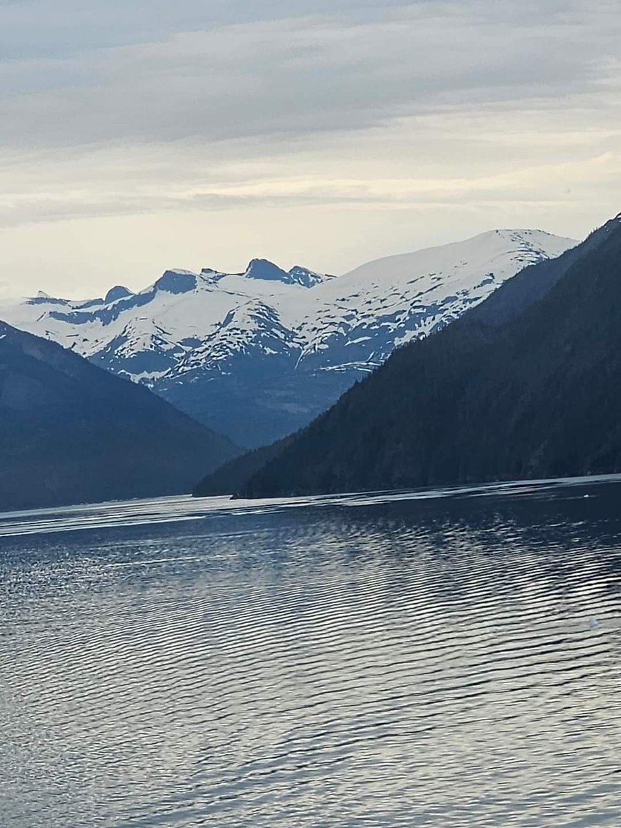 CriddleMon11422's tweet photo. Enjoying much needed break, Seattle, Washington and Alaskan Cruise just beautiful. https://t.co/PAbjVCnTit