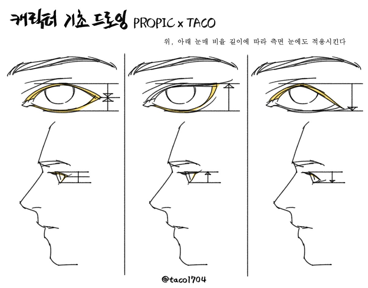 위, 아래 눈매 비율 길이에 따라 측면 눈에도 적용시킨다