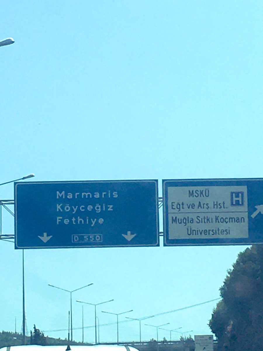 Sizce ben hangi tarafı seçmişimdir 😎