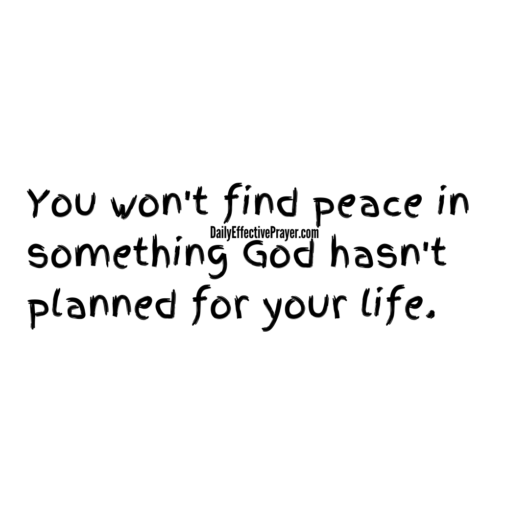 No God, no peace. 🙏

#peace #Godspeace #Amen #prayer #Bible #Jesus #dailyeffectiveprayer #peaceofGod #Christian #God #prayers #TrustGod #Truth #Pray