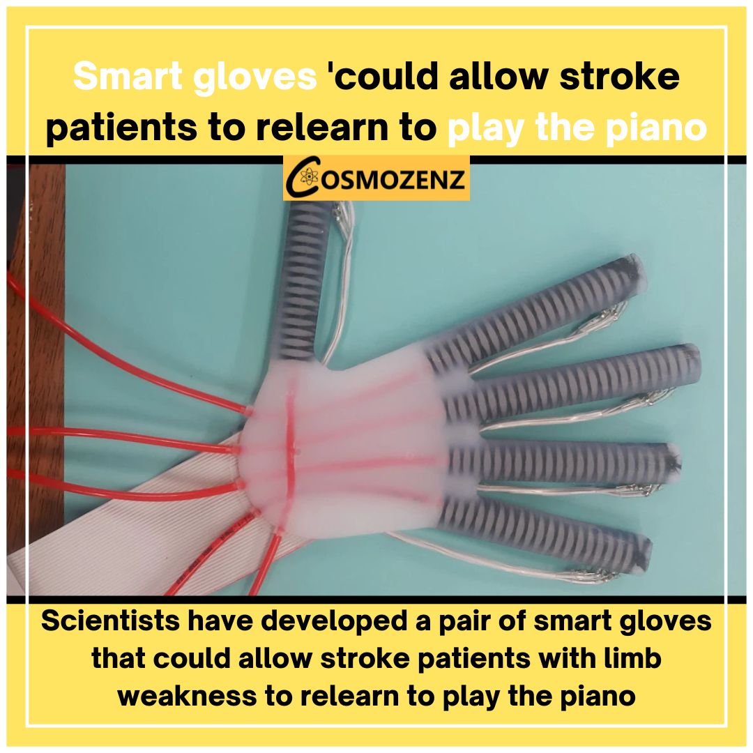cosmozenz's tweet photo. The glove is designed to assist and enhance their natural hand movements, allowing them to control the flexion and extension of their fingers.
Follow: @cosmozenz
#smartgloves #piano #playpiano #innovation #technology #newwhatsappfeatures #news #viralnews #dailyupdate #magazine https://t.co/IJO75iJAUg