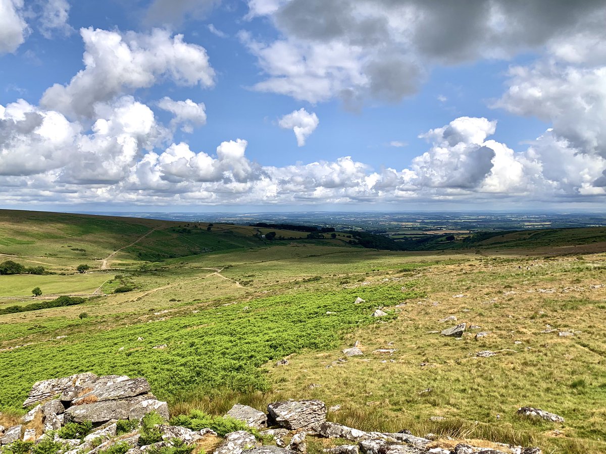mattwillson75's tweet photo. Beautiful walk this morning on #dartmoor nr #okehampton lots of #birds inc Buzzard, Kestrel, Skylark, Stonechat, Meadow Pipit &amp; Goldfinch. Only dogs on leads were ours! @dartmoornpa @DevonLovesDogs @DevonBirds @ZEISSBirding https://t.co/JxN5FwO3jW