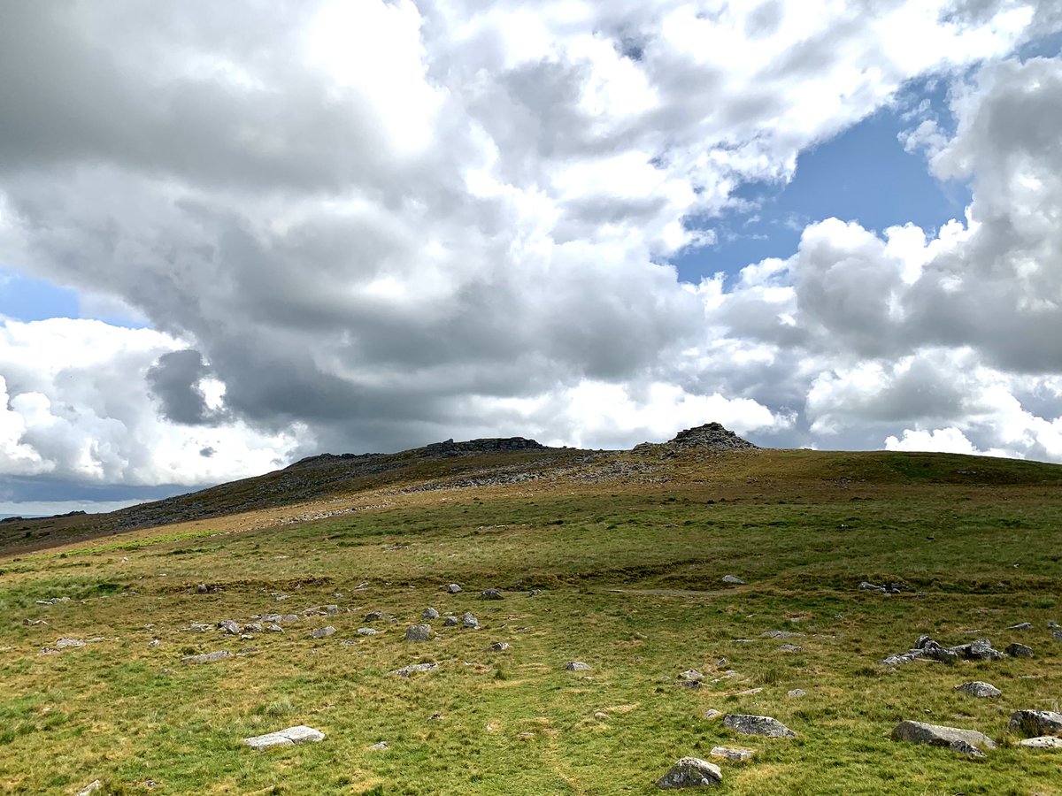 mattwillson75's tweet photo. Beautiful walk this morning on #dartmoor nr #okehampton lots of #birds inc Buzzard, Kestrel, Skylark, Stonechat, Meadow Pipit &amp; Goldfinch. Only dogs on leads were ours! @dartmoornpa @DevonLovesDogs @DevonBirds @ZEISSBirding https://t.co/JxN5FwO3jW