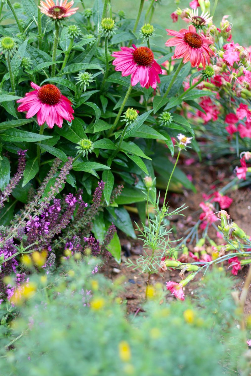 carolineacolby's tweet photo. The beauty of colors. #beauty #fortheday https://t.co/Pa3Q5mL47U
