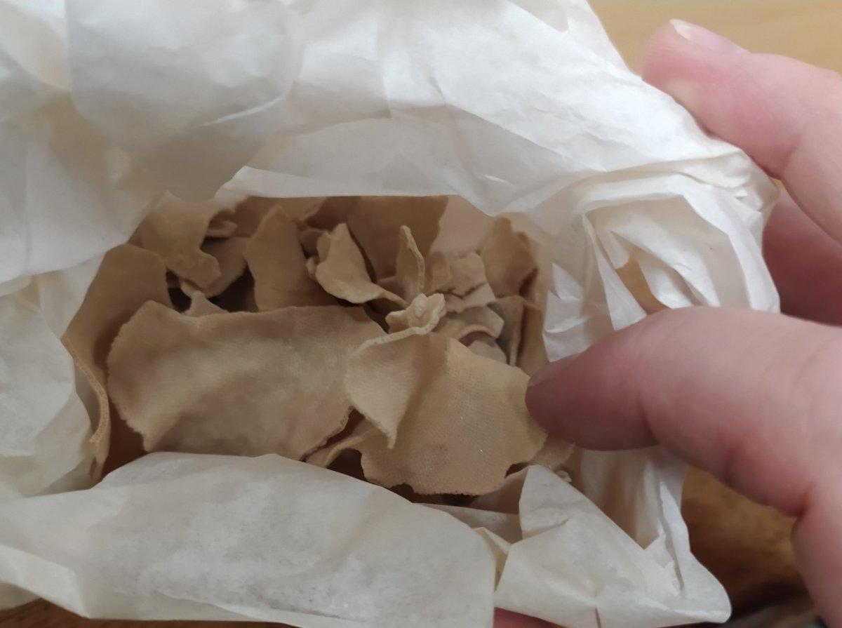 You know it's time for lunch when the specimen you're repackaging makes you crave cornflakes! 

I'm counting volunteering <a href="/NHM_London/">Natural History Museum</a> as day 29 of #30DaysWild