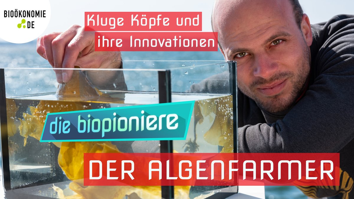 Eine neue Folge von Die Biopioniere ist online! Der #Meeresbiologe Rafael Meichßner arbeitet bei der Firma Coastal Research Management in Kiel als Projektleiter Aquakultur. Er forscht daran, den  Blasentang auf der Kieler Meeresfarm zu kultivieren.
ℹ️📽️👂🖼️biooekonomie.de/akteure/biopio…