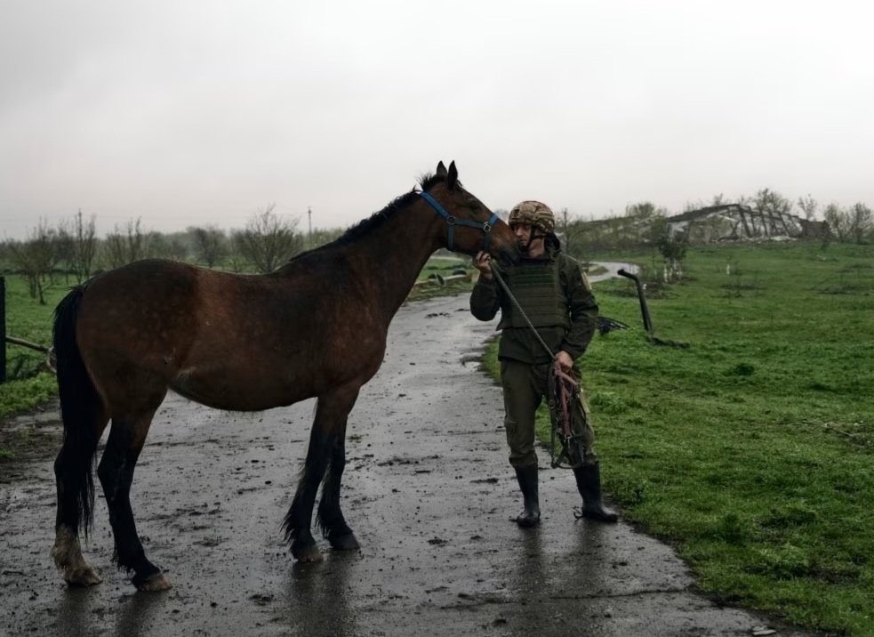 Evacuation of horses from shelling in Avdiivka
#animals #horse #UkraineWar #Ukraineanimals #Ukraine #animalsprotection #help #helpinganimals #help