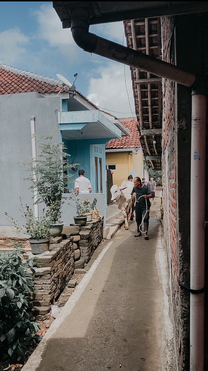 Calon Manusia (@gmbrsn) on Twitter photo 