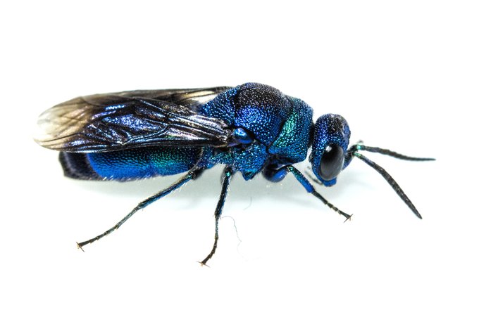 がんばった!
と思ったら ほっそい毛がからんでるうう 