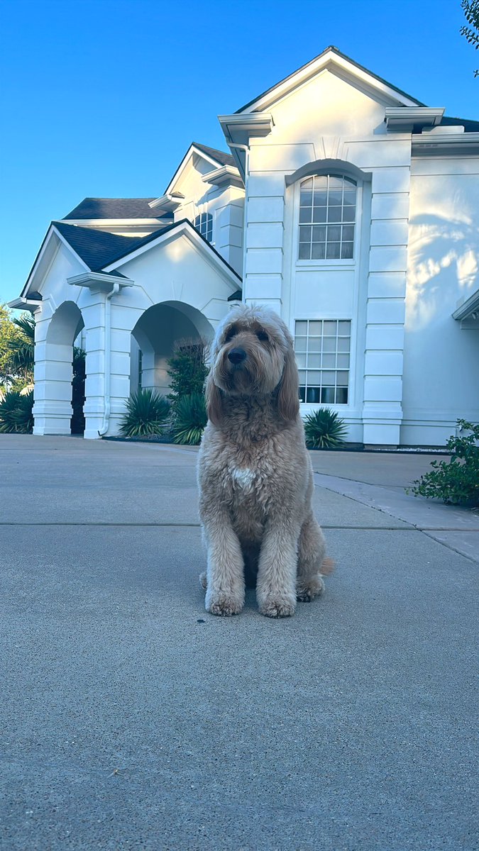 Maxx Chewning tweet media