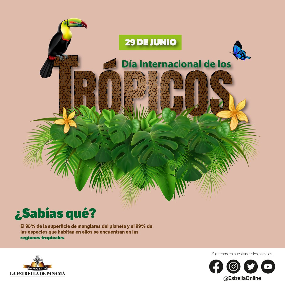 Los trópicos son vitales para la captura de carbono, la producción de agua y la regulación climática; son áreas de gran riqueza en términos de biodiversidad, proveen una amplia diversidad de recursos de gran valor económico,