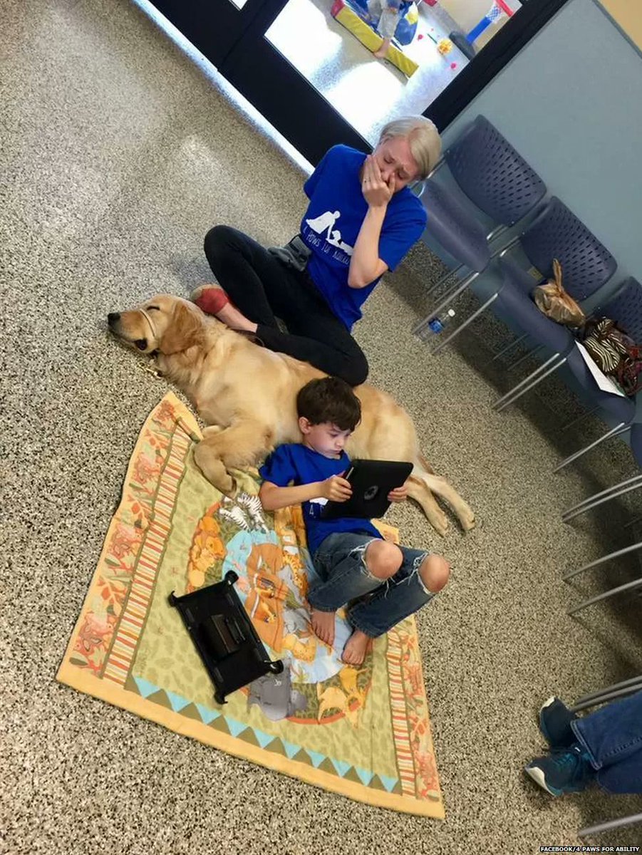 _B___S's tweet image. An autistic boy who can't be touched has connected with a service dog. his mom flooded with emotions after he bonded with his new dog.