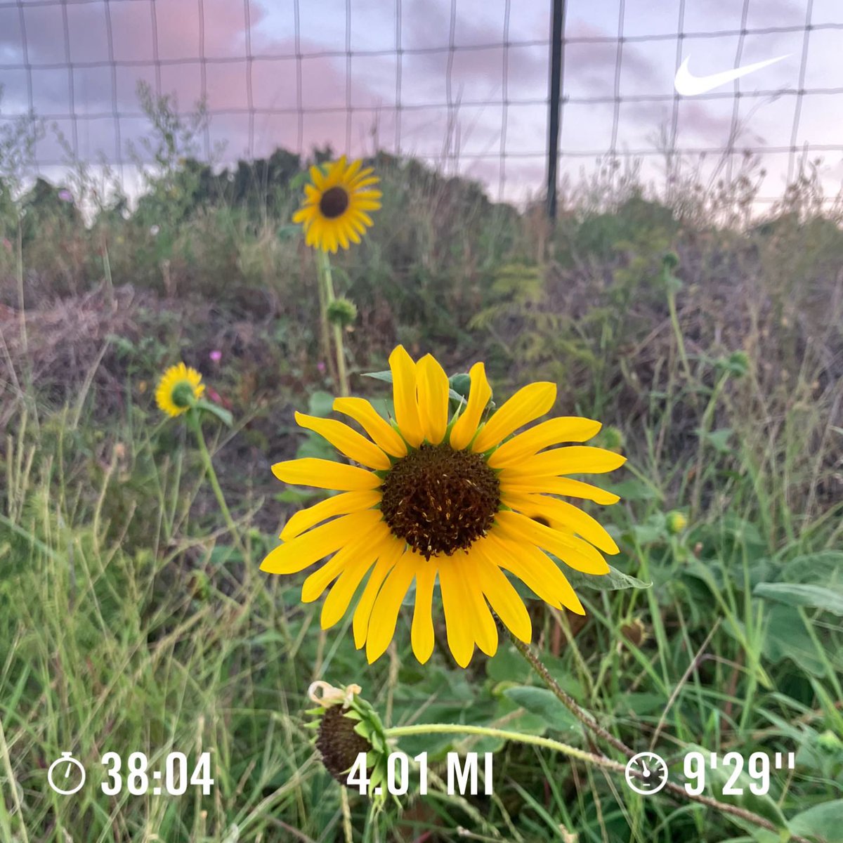 Julieta Garibay tweet media