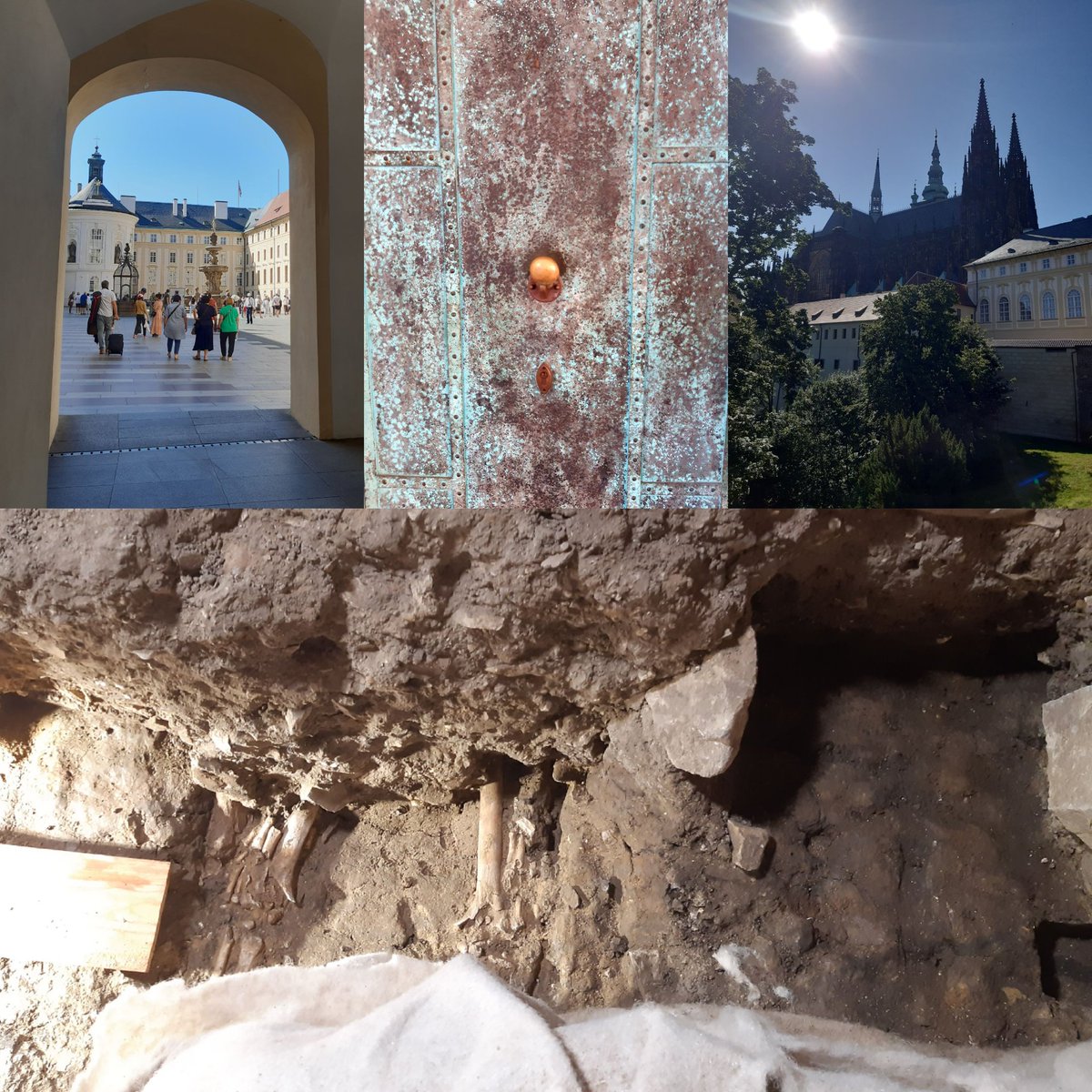 Sampling at the Prague Castle - St. Mary's church, 10th-11th century AD! Let's get, hopefully, some results🤩 🦴⛏🧪 #Praguecastle #organicresidues
