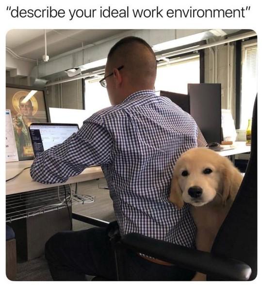 WholesomeMemes (@wholesomememe) on Twitter photo 