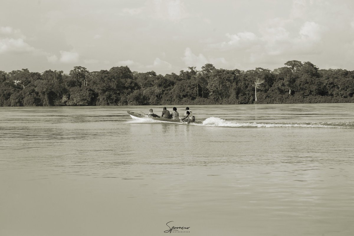 JoelLebengue's tweet photo. "Les eaux calmes du fleuve bercent ces navigateurs, témoins silencieux des voies navigables. Leurs mains expertes manient les cordages avec habileté, guidant leurs bateaux à travers les méandres de l'histoire.
#discovergabon
#ngomo
#Gabon https://t.co/mYCUqF7UYi