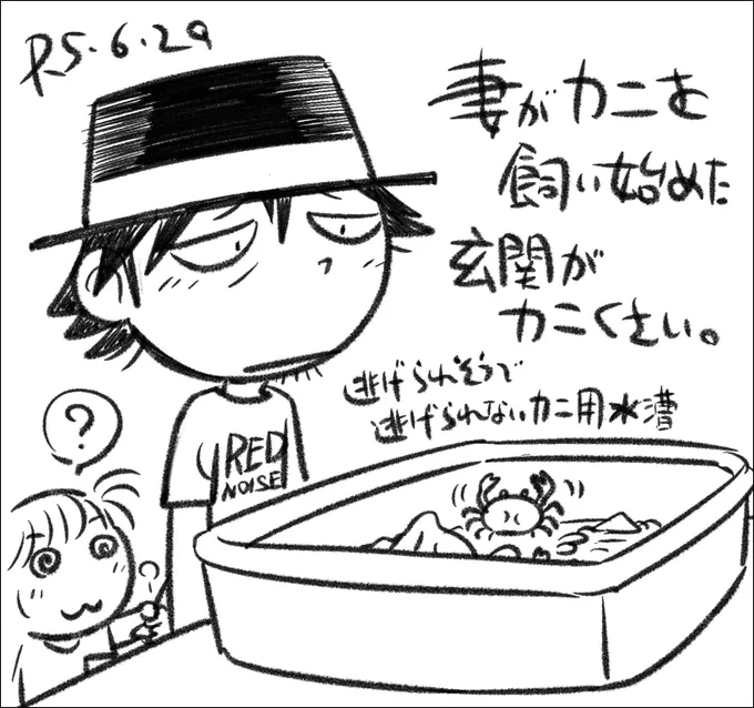 魚屋で食用に売ってたサワガニだそうです #還暦子育て日記 #父娘ぐらし
