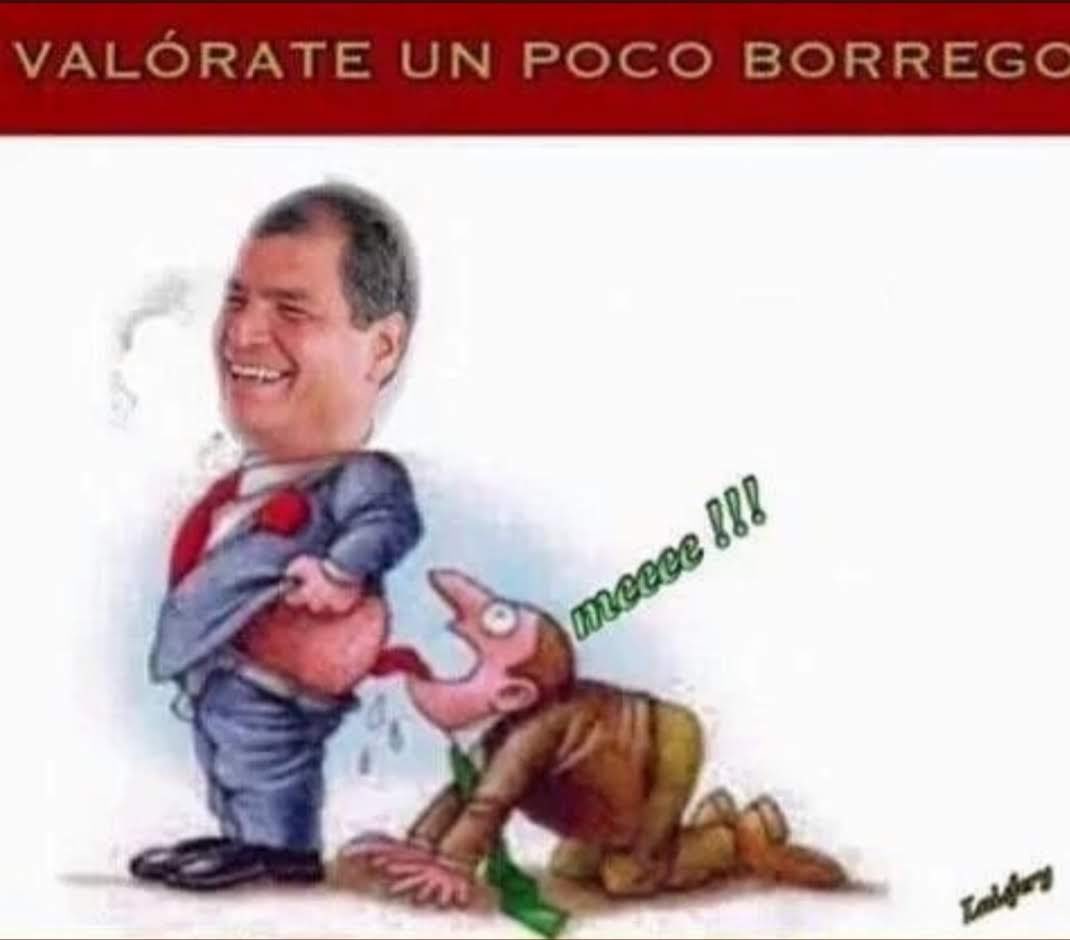 Isabelmacha666's tweet photo. @MoniPalaciosZ @RC5Oficial BORREGUITA!!! https://t.co/BMy6kswDA3