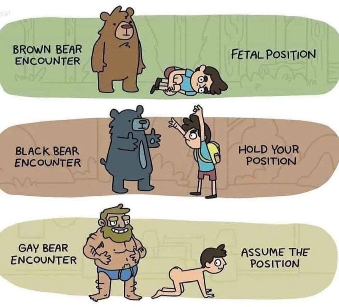 DapperCub's tweet image. 