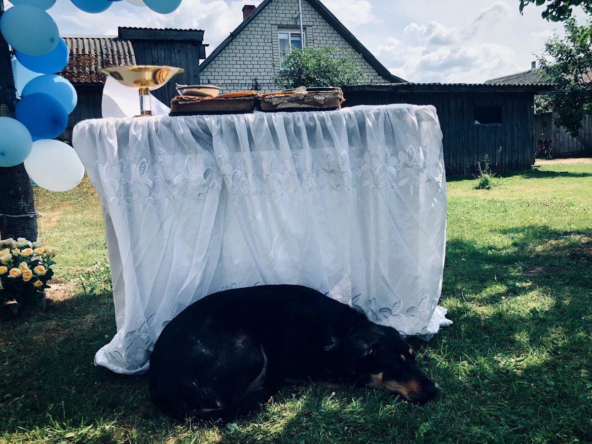 vkoralis's tweet photo. SATIKĀMIES LIZUMĀ

Gandrīz katrā sētā sadraudzējos vispirms ar mājas sargu. Šoreiz Lizumā ģimenes kristībās. Mēs esam gatavi sākt. 😀🙏 /VK/
#lizums #sargs #suns #māja #sēta #lauki #kristības https://t.co/mgeNdncykJ