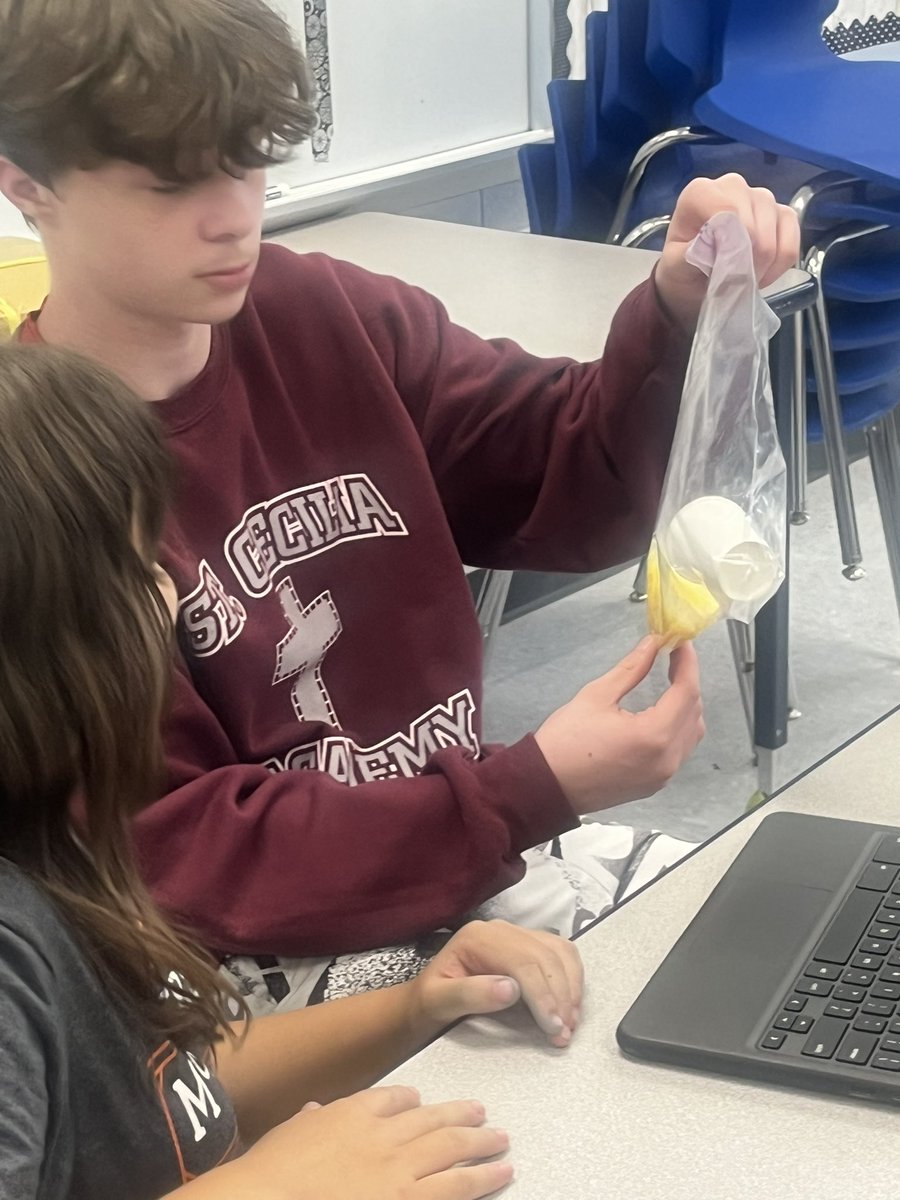 MsG_HPMS's tweet photo. HPMS students identified chemical reactions by observing temperature and color changes as well as the production of gas. @JoeVeldhuizen @TBidlack @levo_land #hpsdtigers https://t.co/wq1KWBxFnM