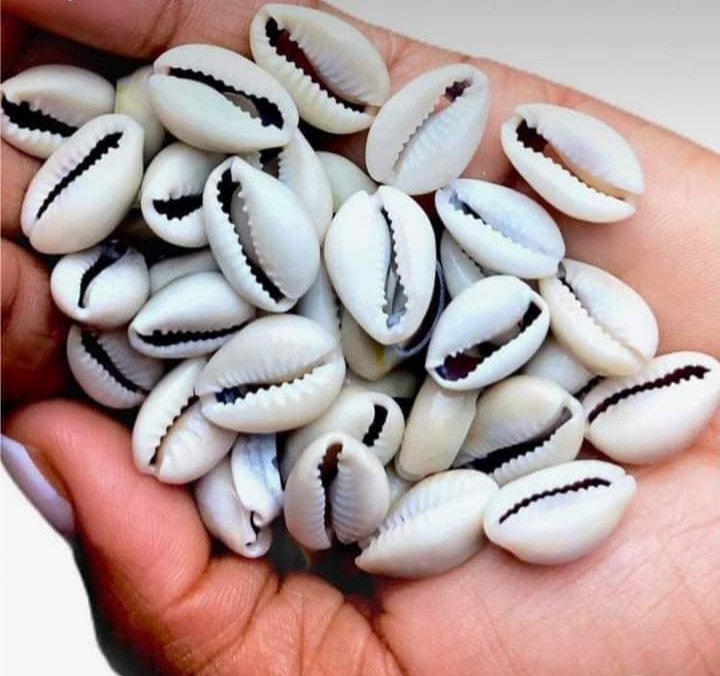 Coal__City's tweet photo. Ndi be anyi, what is this called in Igbo and what is it used for?

#knowyourlanguage
@Coal_City
#CoalCityConnect https://t.co/kZYLNStCGn