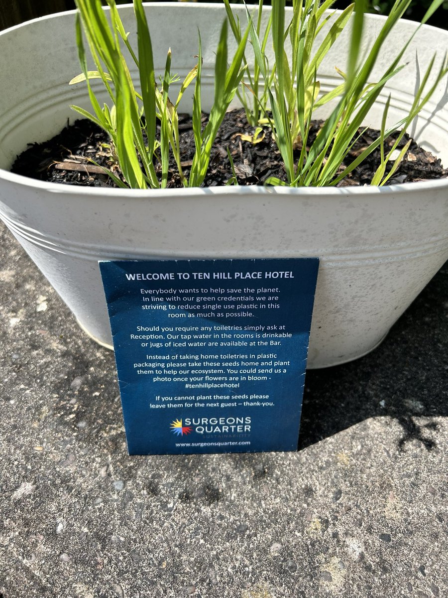 Lovely gesture by @TenHillPlace reducing waste &amp; giving back to the planet 🌍 our #wildflowers are growing #tenhillplace ♥️
